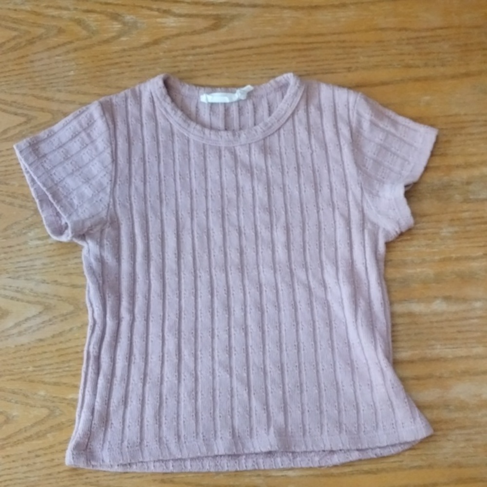 Blush Cropped Tee Shirt